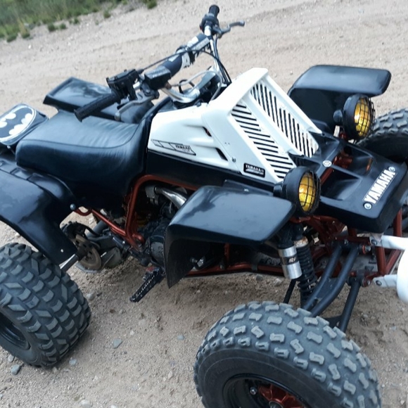 Meet your Posher, Timothy - Picture 3 of 3